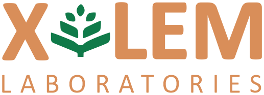 xylem Logo